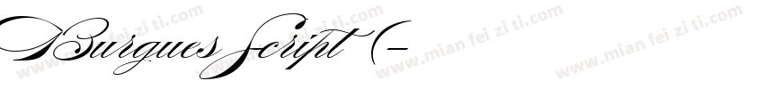 Burgues Script 常规(字体转换